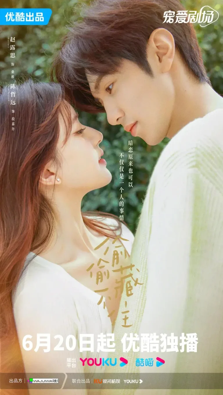 《偷偷藏不住》全集高清完整版在线观看与剧情解析