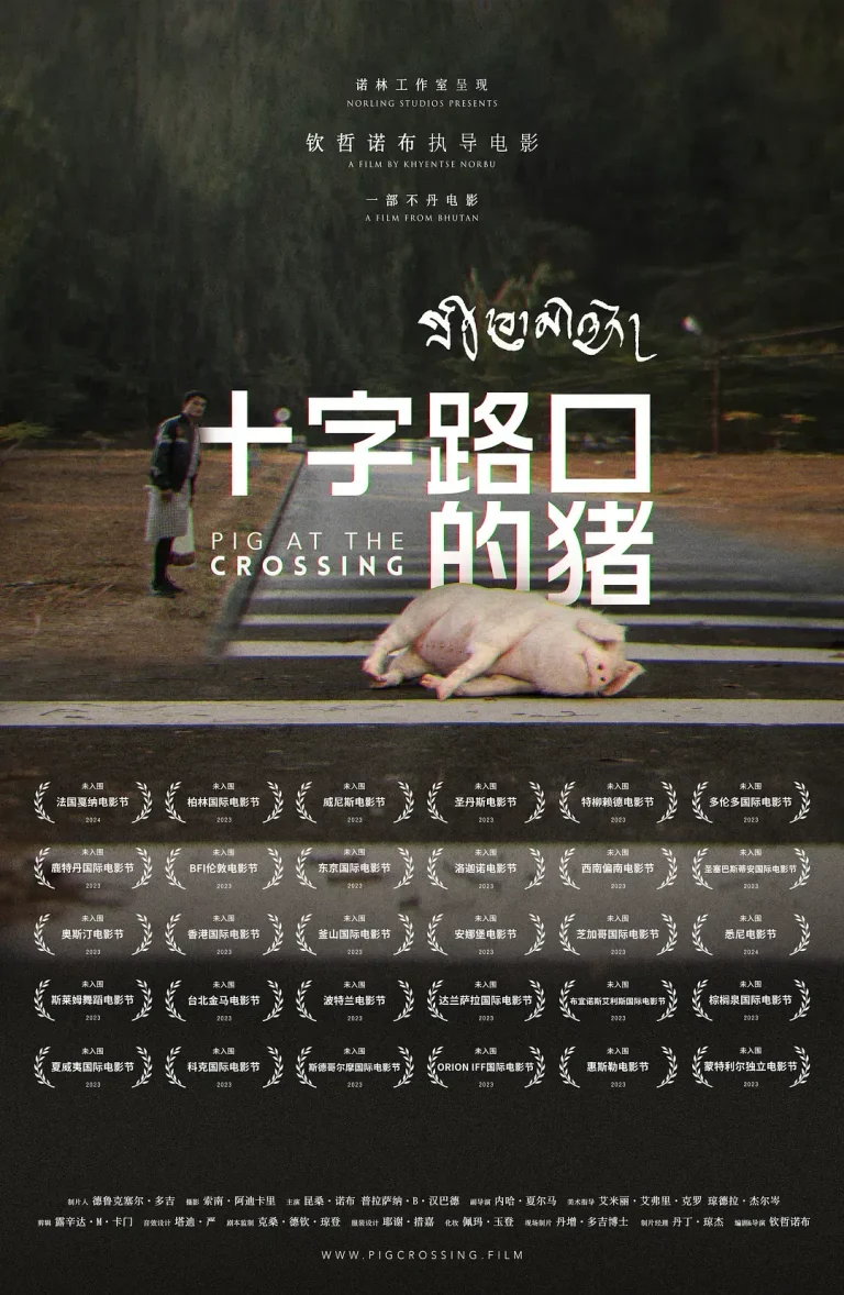 《十字路口的猪[电影解说]》全集高清完整版在线观看与剧情解析