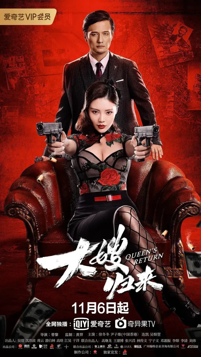 《大嫂归来》全集高清完整版在线观看与剧情解析