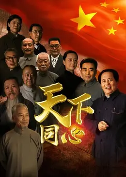 《天下同心》全集高清完整版在线观看与剧情解析