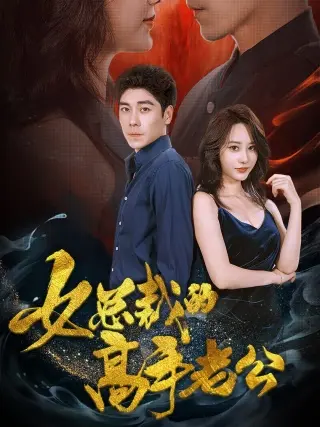 《女总裁的高手老公》全集高清完整版在线观看与剧情解析