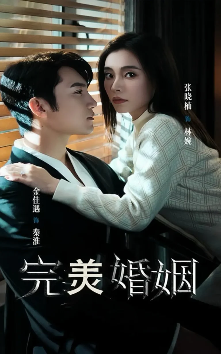 《完美婚姻》全集高清完整版在线观看与剧情解析