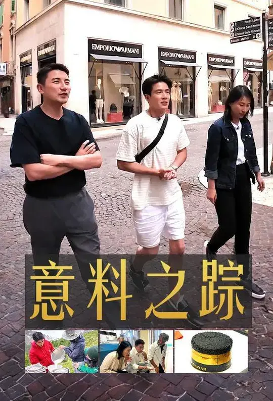 《意料之踪》全集高清完整版在线观看与剧情解析