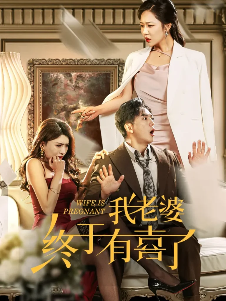 《我老婆终于有喜了》全集高清完整版在线观看与剧情解析