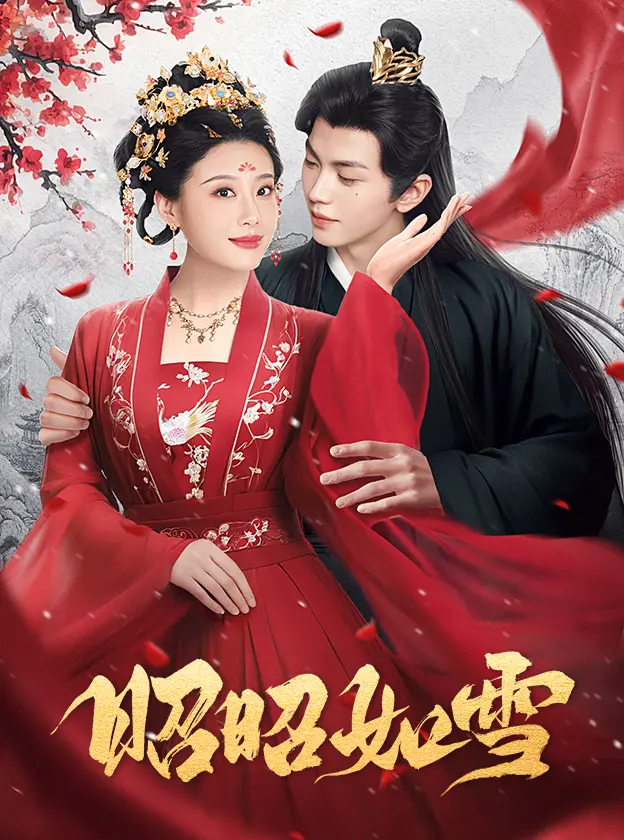 《昭昭如雪》全集高清完整版在线观看与剧情解析