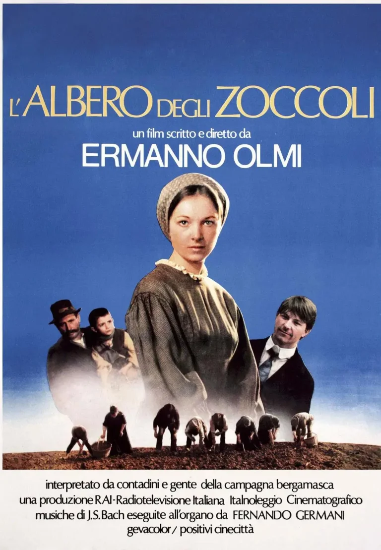 《木屐树》全集高清完整版在线观看与剧情解析