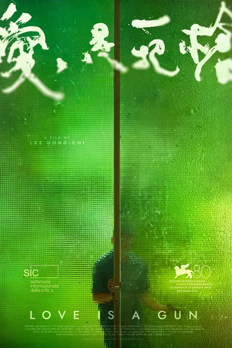 《爱是一把枪》全集高清完整版在线观看与剧情解析