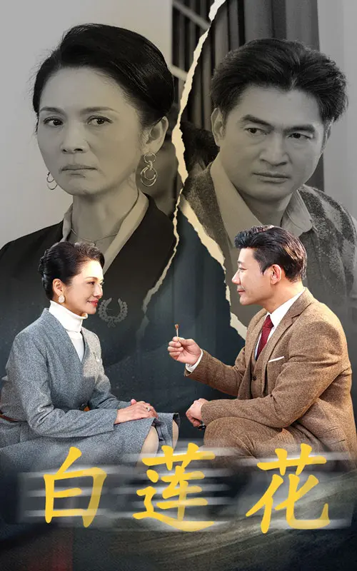 《白莲花》全集高清完整版在线观看与剧情解析
