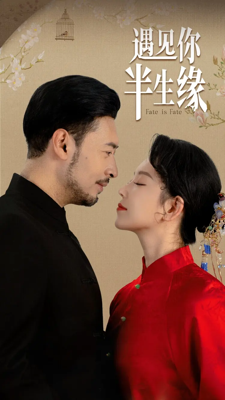 《遇见你半生缘》全集高清完整版在线观看与剧情解析