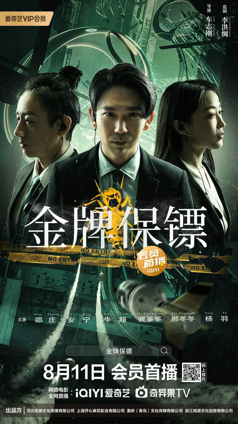 《金牌保镖[电影解说]》全集高清完整版在线观看与剧情解析